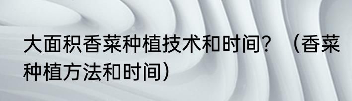 大面积香菜种植技术和时间？（香菜种植方法和时间）