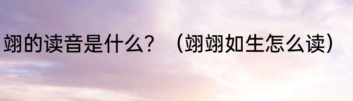 翊的读音是什么？（翊翊如生怎么读）