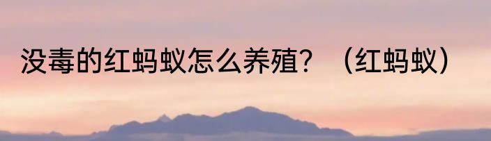 没毒的红蚂蚁怎么养殖？（红蚂蚁）