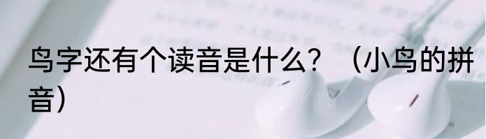 鸟字还有个读音是什么？（小鸟的拼音）