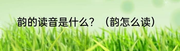 韵的读音是什么？（韵怎么读）