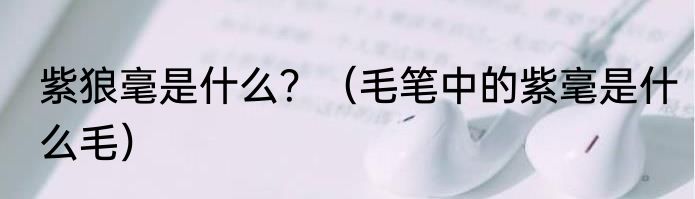 紫狼毫是什么?(毛笔中的紫毫是什么毛)