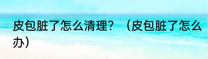 皮包脏了怎么清理？（皮包脏了怎么办）