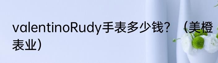valentinoRudy手表多少钱？（美橙表业）