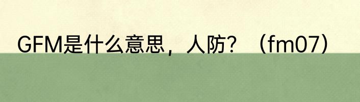 GFM是什么意思，人防？（fm07）