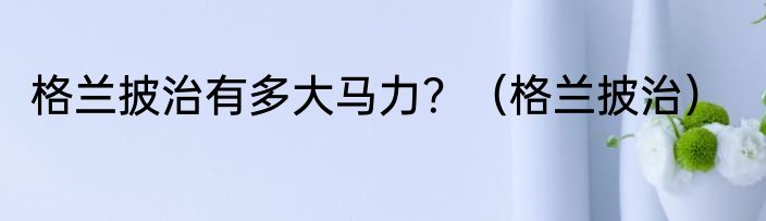 格兰披治有多大马力？（格兰披治）