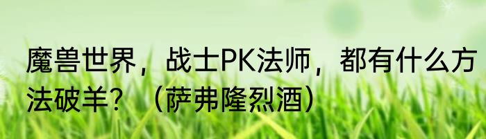 魔兽世界，战士PK法师，都有什么方法破羊？（萨弗隆烈酒）