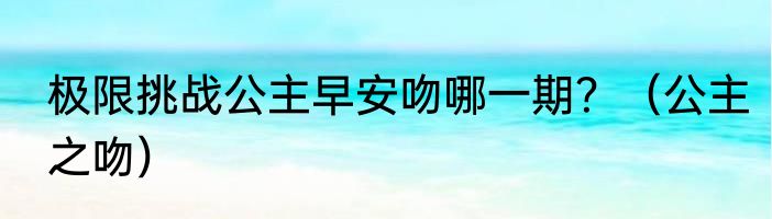 极限挑战公主早安吻哪一期？（公主之吻）