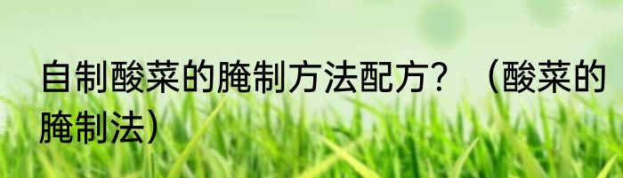 自制酸菜的腌制方法配方？（酸菜的腌制法）