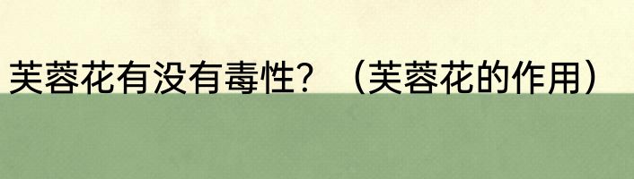 芙蓉花有没有毒性？（芙蓉花的作用）