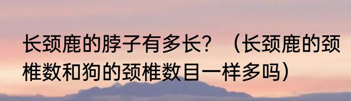 长颈鹿的脖子有多长？（长颈鹿的颈椎数和狗的颈椎数目一样多吗）