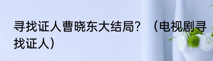 寻找证人曹晓东大结局？（电视剧寻找证人）
