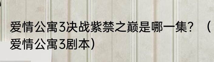 爱情公寓3决战紫禁之巅是哪一集？（爱情公寓3剧本）