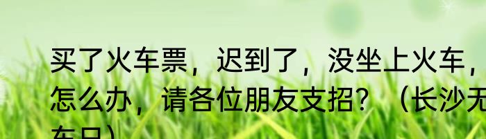 买了火车票，迟到了，没坐上火车，怎么办，请各位朋友支招？（长沙无车日）