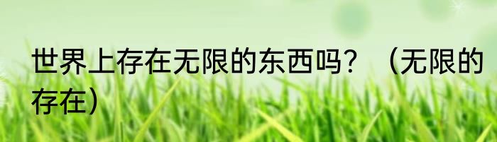 世界上存在无限的东西吗？（无限的存在）