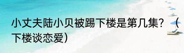 小丈夫陆小贝被踢下楼是第几集？（下楼谈恋爱）