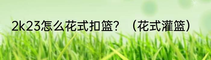 2k23怎么花式扣篮？（花式灌篮）