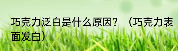 巧克力泛白是什么原因？（巧克力表面发白）