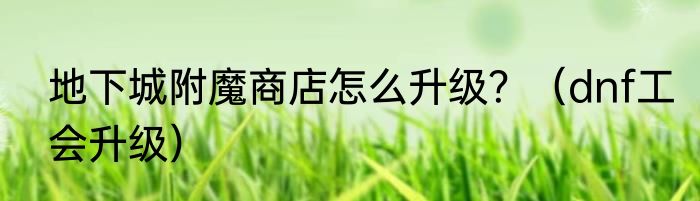 地下城附魔商店怎么升级？（dnf工会升级）