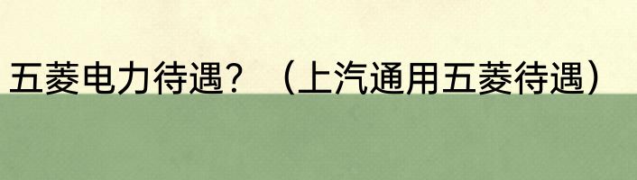 五菱电力待遇？（上汽通用五菱待遇）