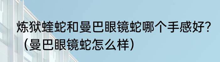 炼狱蝰蛇和曼巴眼镜蛇哪个手感好？（曼巴眼镜蛇怎么样）
