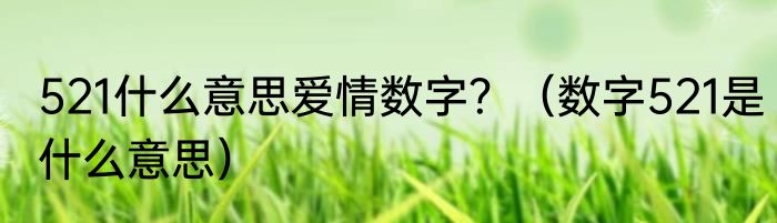 521什么意思爱情数字？（数字521是什么意思）