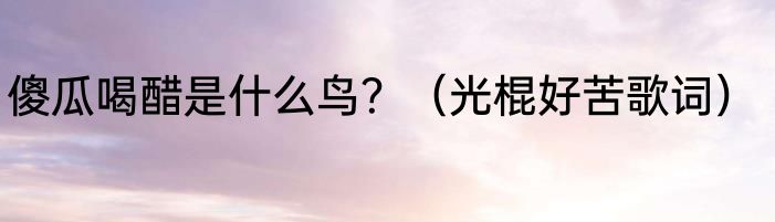 傻瓜喝醋是什么鸟？（光棍好苦歌词）