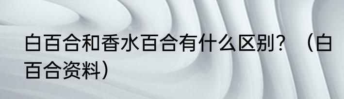 白百合和香水百合有什么区别？（白百合资料）