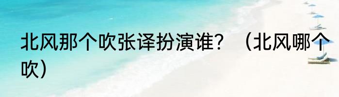 北风那个吹张译扮演谁？（北风哪个吹）