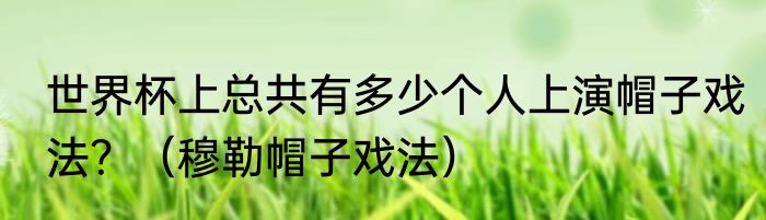 世界杯上总共有多少个人上演帽子戏法？（穆勒帽子戏法）