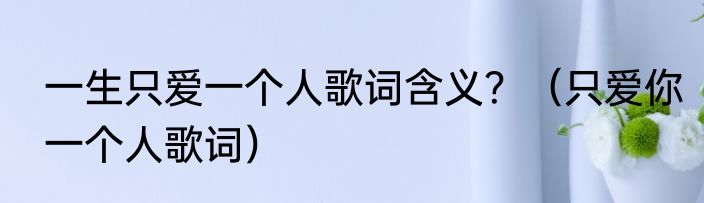 一生只爱一个人歌词含义？（只爱你一个人歌词）