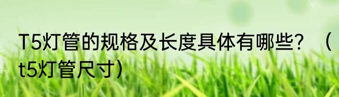 T5灯管的规格及长度具体有哪些？（t5灯管尺寸）
