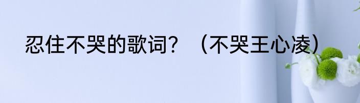 忍住不哭的歌词？（不哭王心凌）