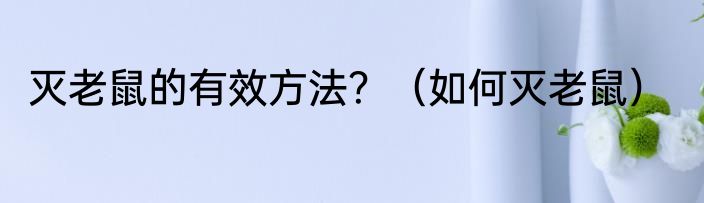 灭老鼠的有效方法？（如何灭老鼠）