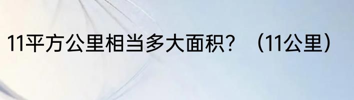 11平方公里相当多大面积？（11公里）