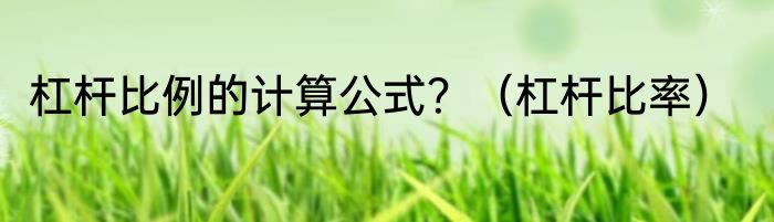 杠杆比例的计算公式？（杠杆比率）