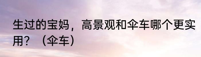 生过的宝妈，高景观和伞车哪个更实用？（伞车）