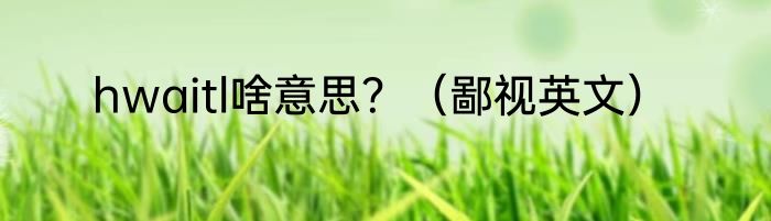 hwaitl啥意思？（鄙视英文）