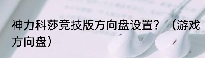 神力科莎竞技版方向盘设置？（游戏方向盘）