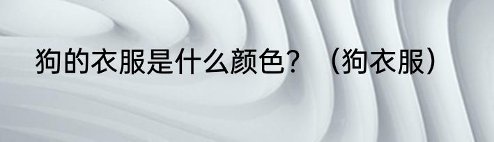 狗的衣服是什么颜色？（狗衣服）