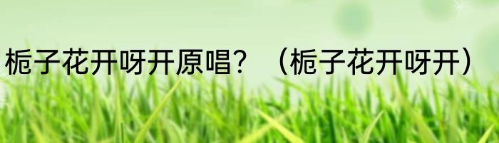 栀子花开呀开原唱？（栀子花开呀开）