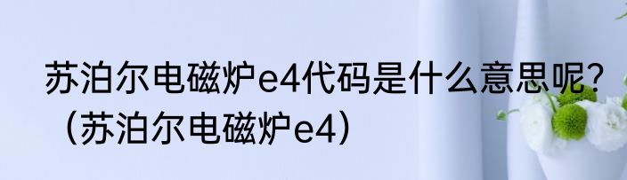 苏泊尔电磁炉e4代码是什么意思呢？（苏泊尔电磁炉e4）