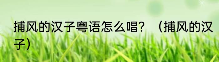 捕风的汉子粤语怎么唱？（捕风的汉子）