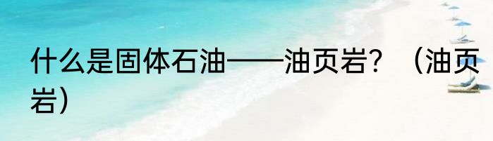 什么是固体石油——油页岩？（油页岩）