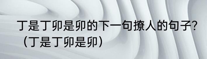 丁是丁卯是卯的下一句撩人的句子？（丁是丁卯是卯）