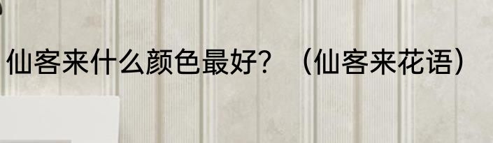 仙客来什么颜色最好？（仙客来花语）