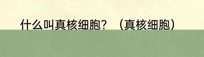 什么叫真核细胞？（真核细胞）