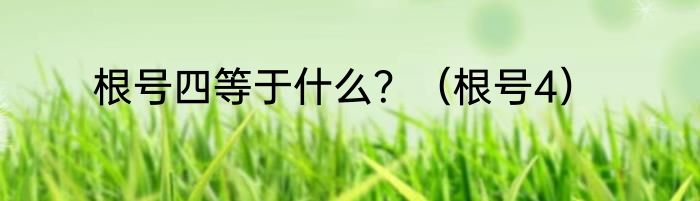 根号四等于什么？（根号4）