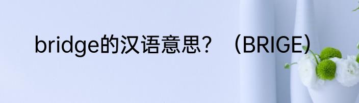 bridge的汉语意思？（BRIGE）