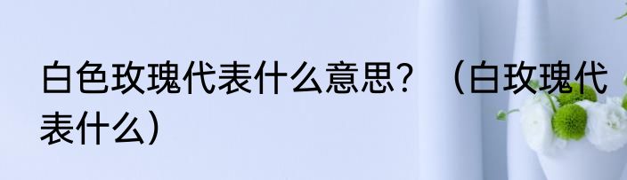 白色玫瑰代表什么意思？（白玫瑰代表什么）
